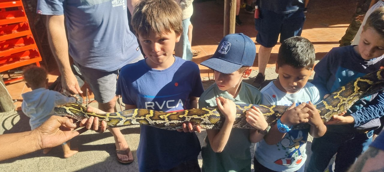 Children handling a large python at the Penhill Snake Show
