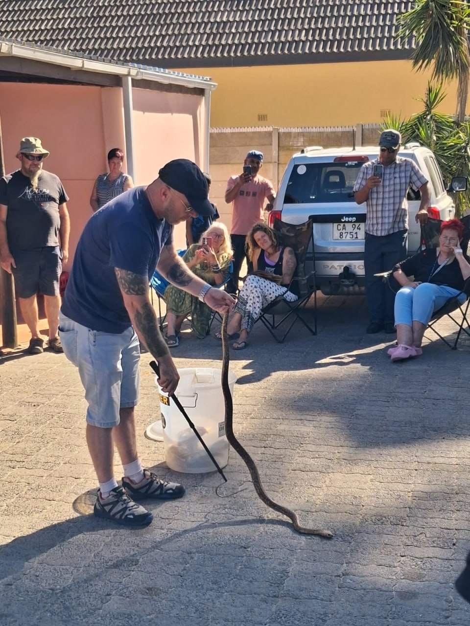 Handler using a snake hook to manage a Cape Cobra at the Penhill Snake Show